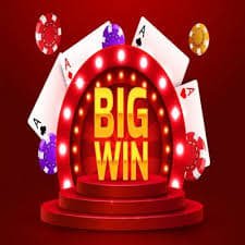 baji999 app পরিচিতি